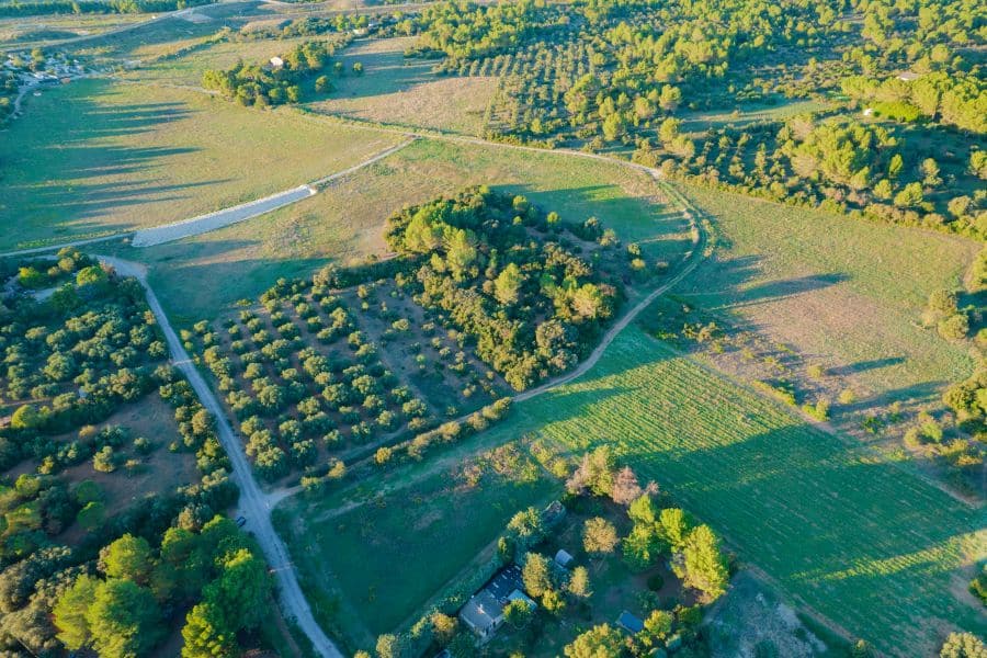 vignes vue du ciel lunel