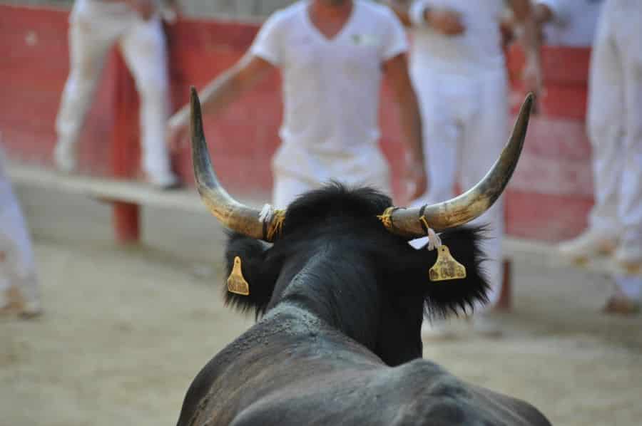 arènes sommières